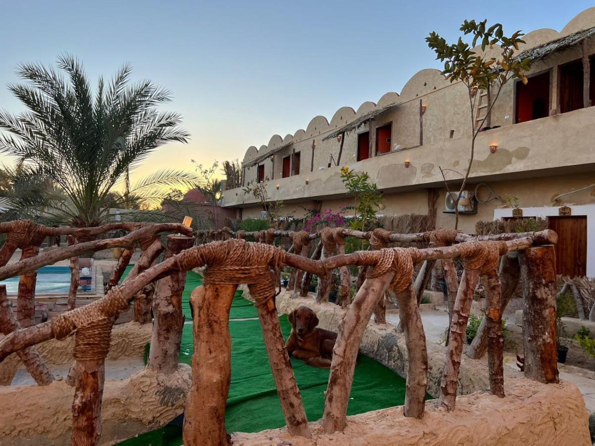 Aghurmi Siwa Ecolodge & Salt Cave Siwa Oasis Eksteriør billede