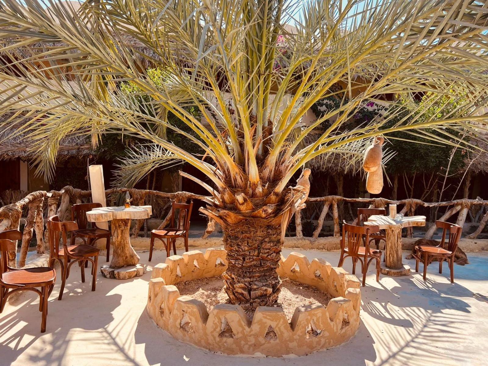 Aghurmi Siwa Ecolodge & Salt Cave Siwa Oasis Eksteriør billede