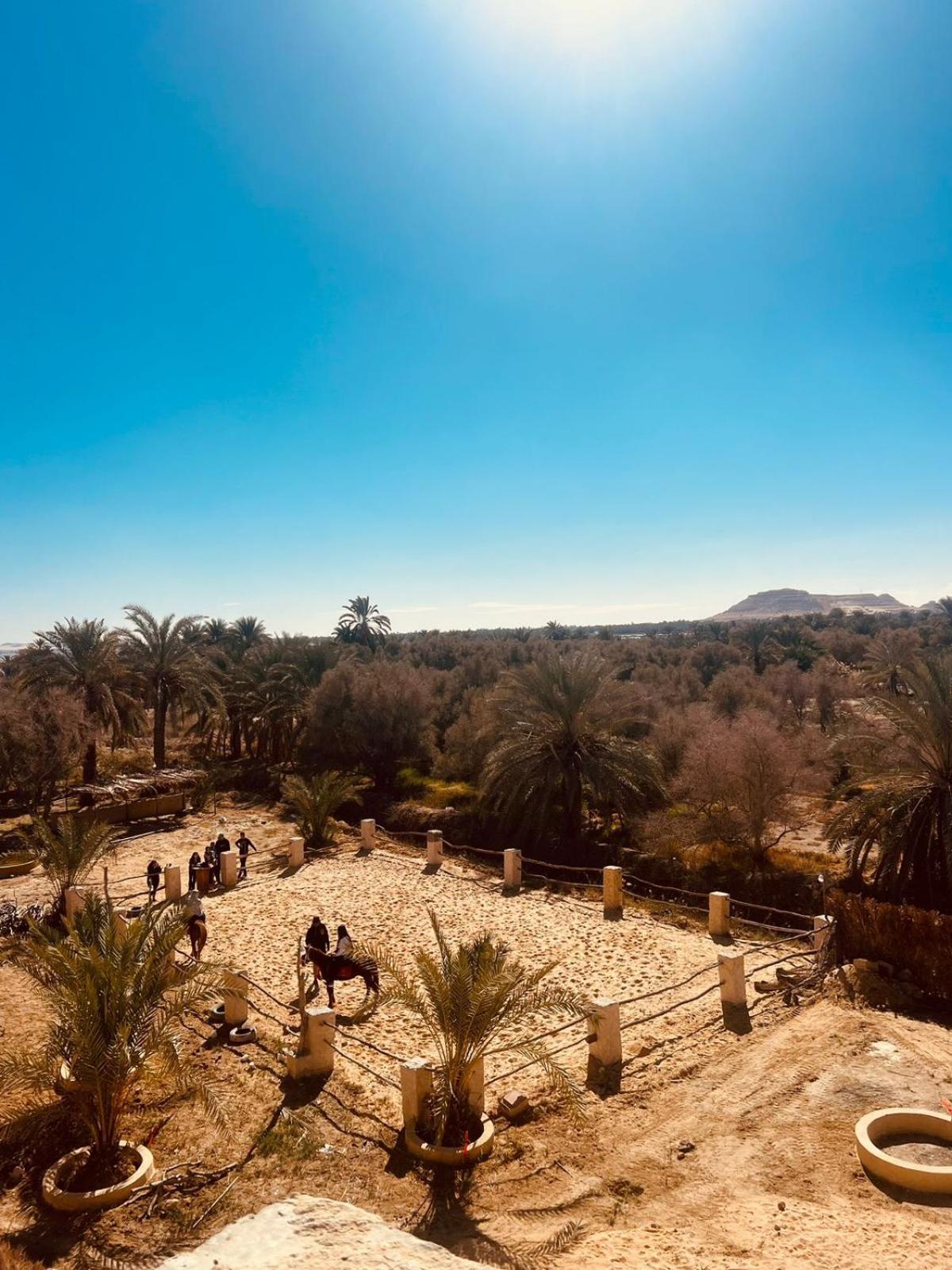 Aghurmi Siwa Ecolodge & Salt Cave Siwa Oasis Eksteriør billede